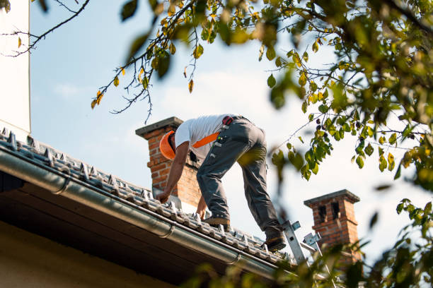 Sealant for Roof in Gwinn, MI