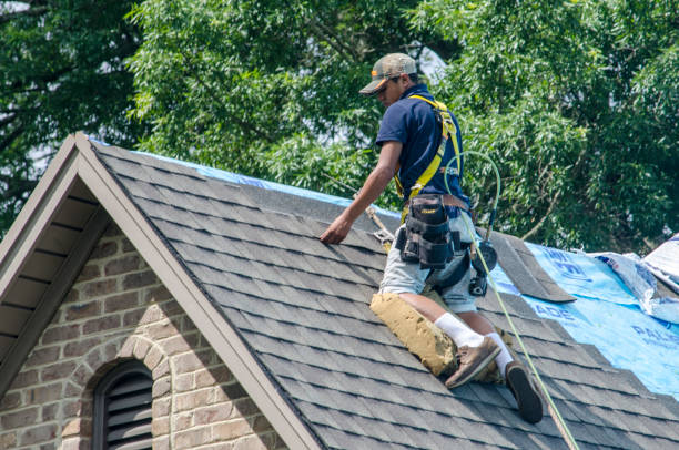 Best Storm Damage Roof Repair  in Gwinn, MI